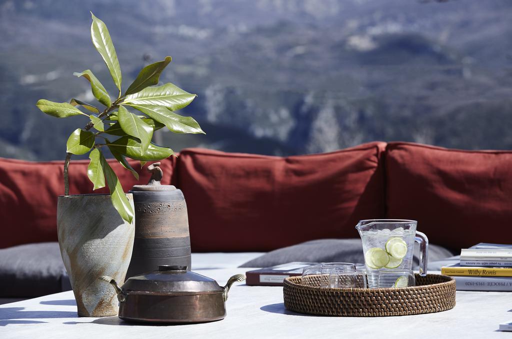 Aristi Mountain Resort エクステリア 写真